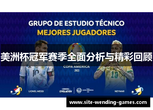 美洲杯冠军赛季全面分析与精彩回顾