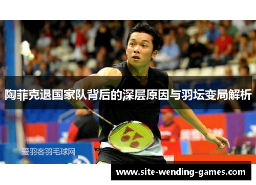 陶菲克退国家队背后的深层原因与羽坛变局解析